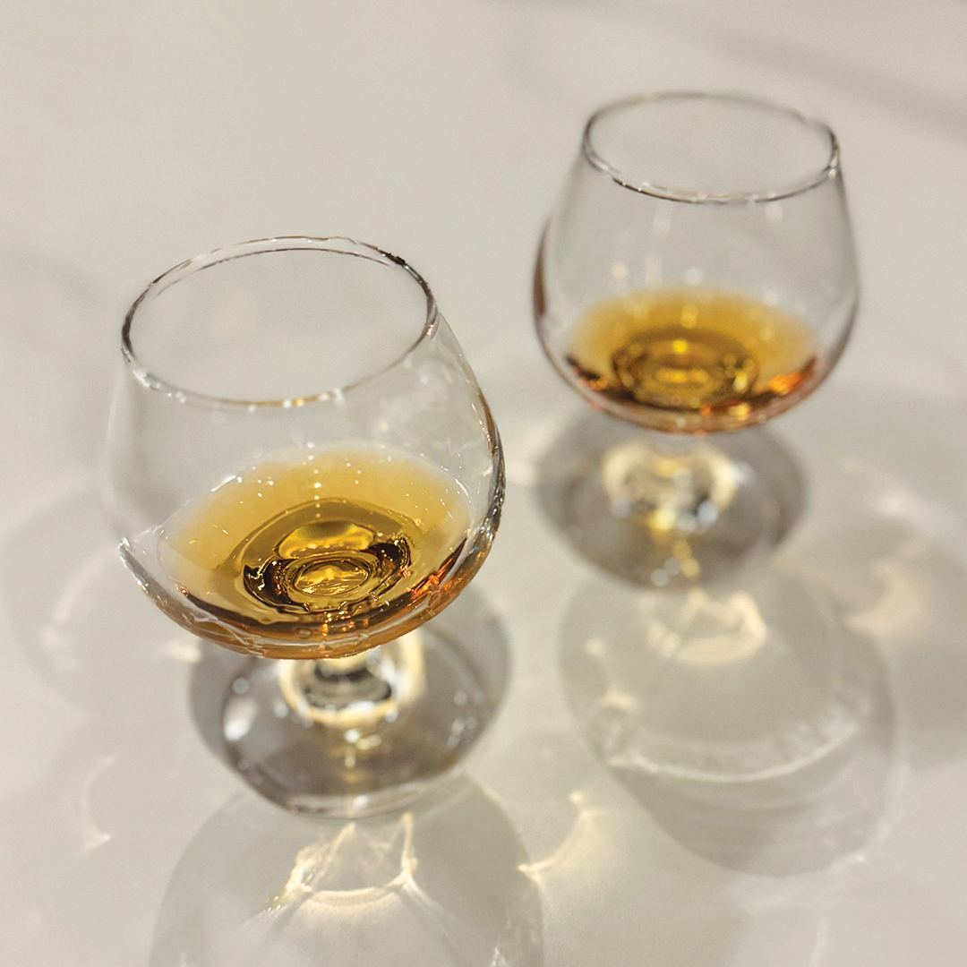 Puerto Rico-Bacardi Tour