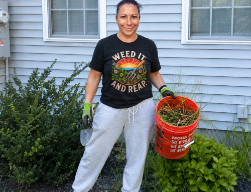 Weed It and Reap: Tackling the Front of the House