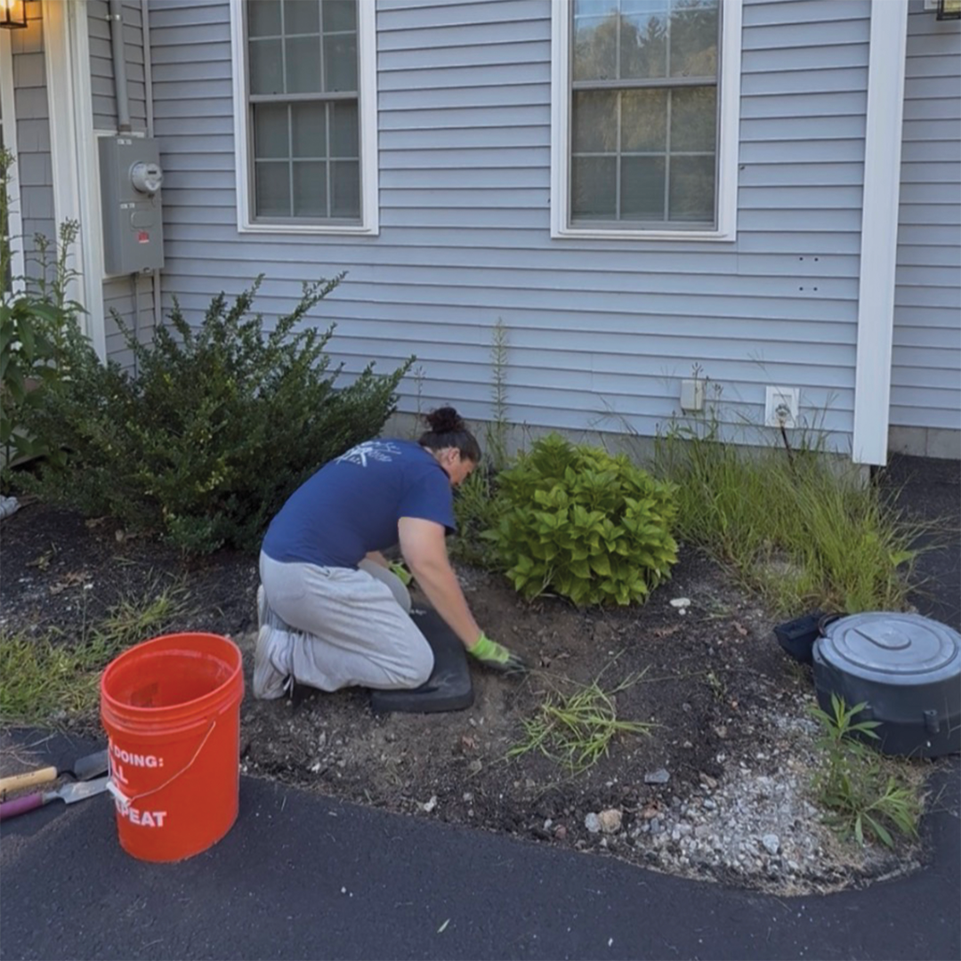 Weed It and Reap-Weeding